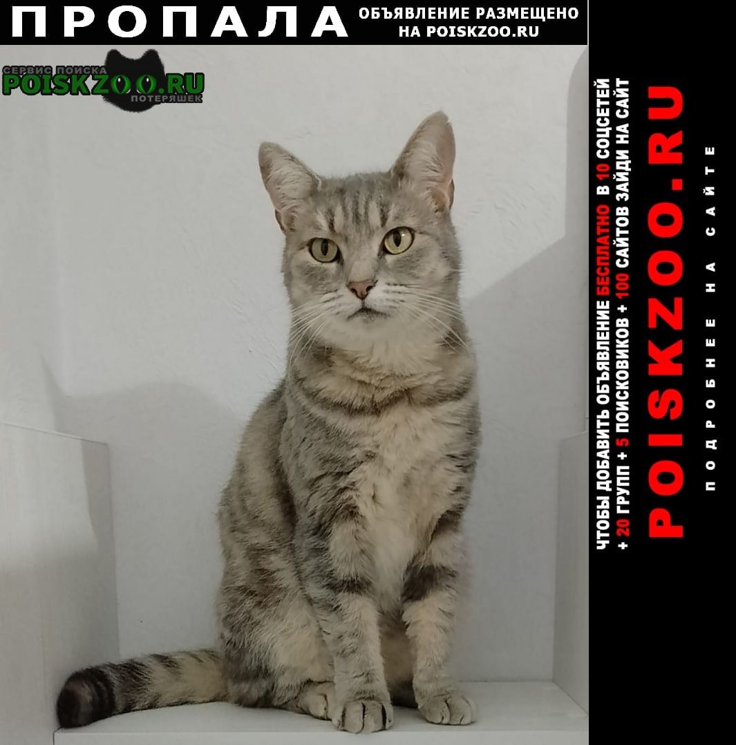 ���� ������� �����