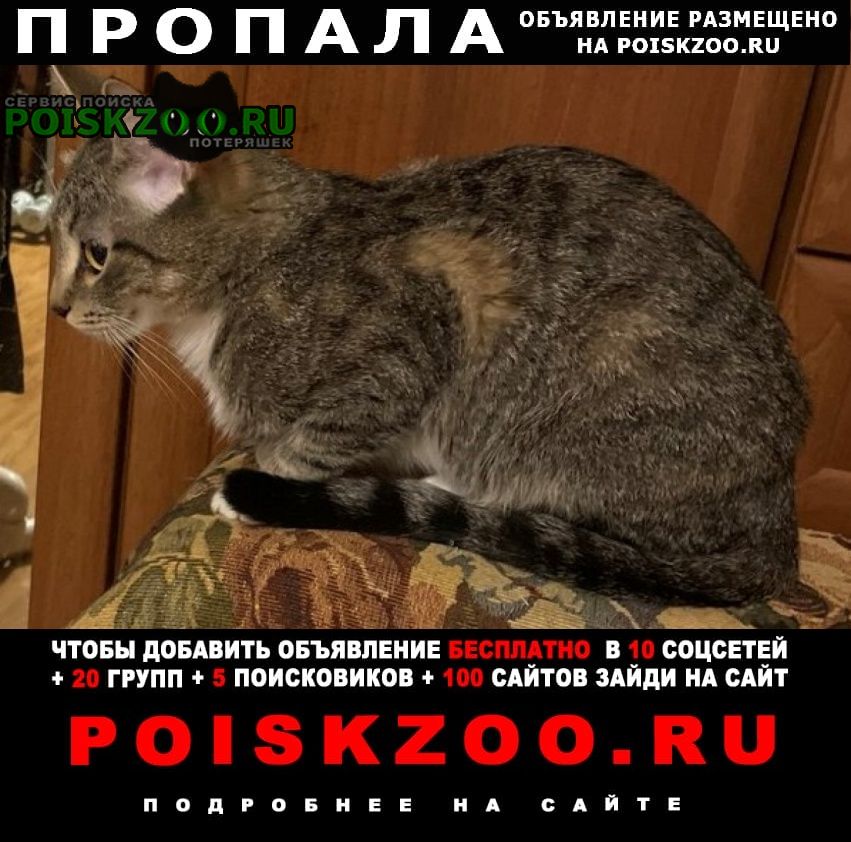 ���� ������� �����