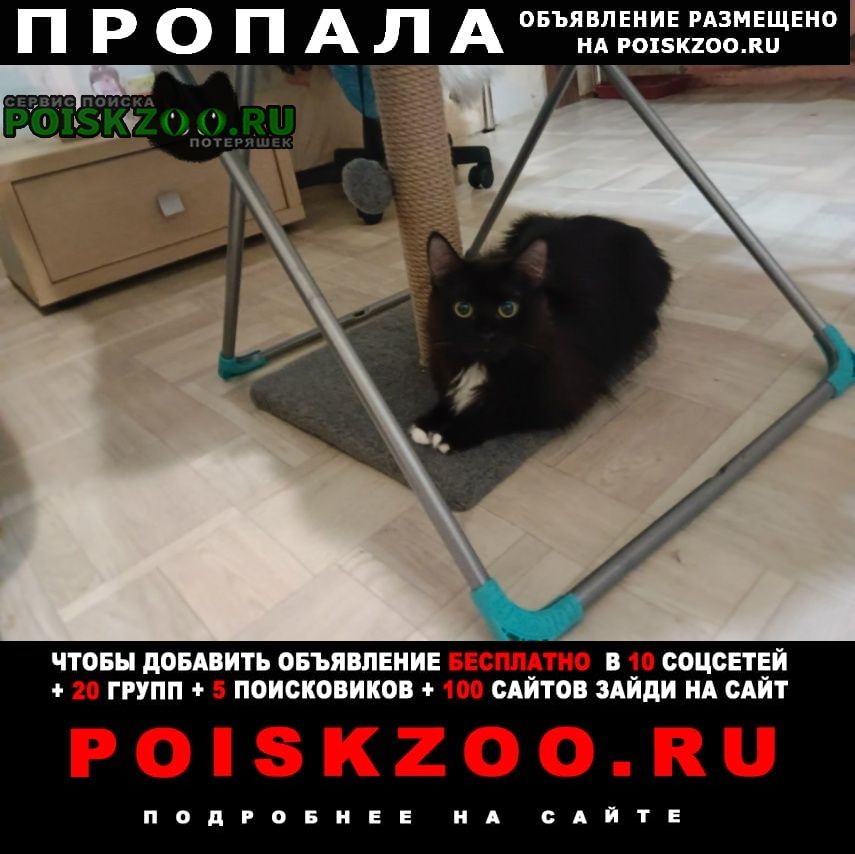 ���� ������ ��� ������� ���