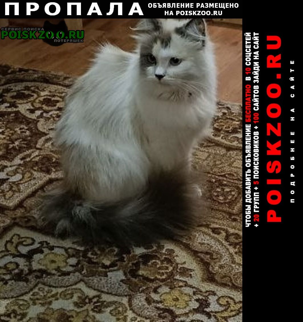 ���� ������� ����� 13 ������� �������