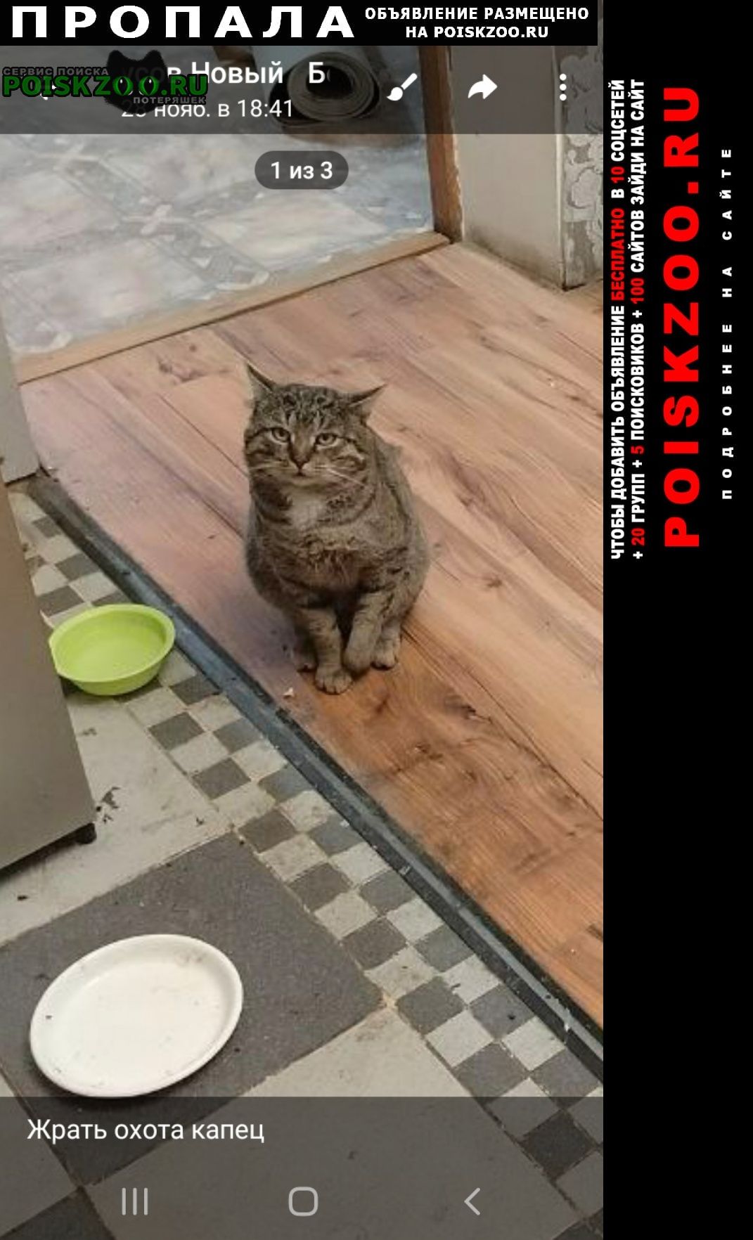 ���� ������ ���