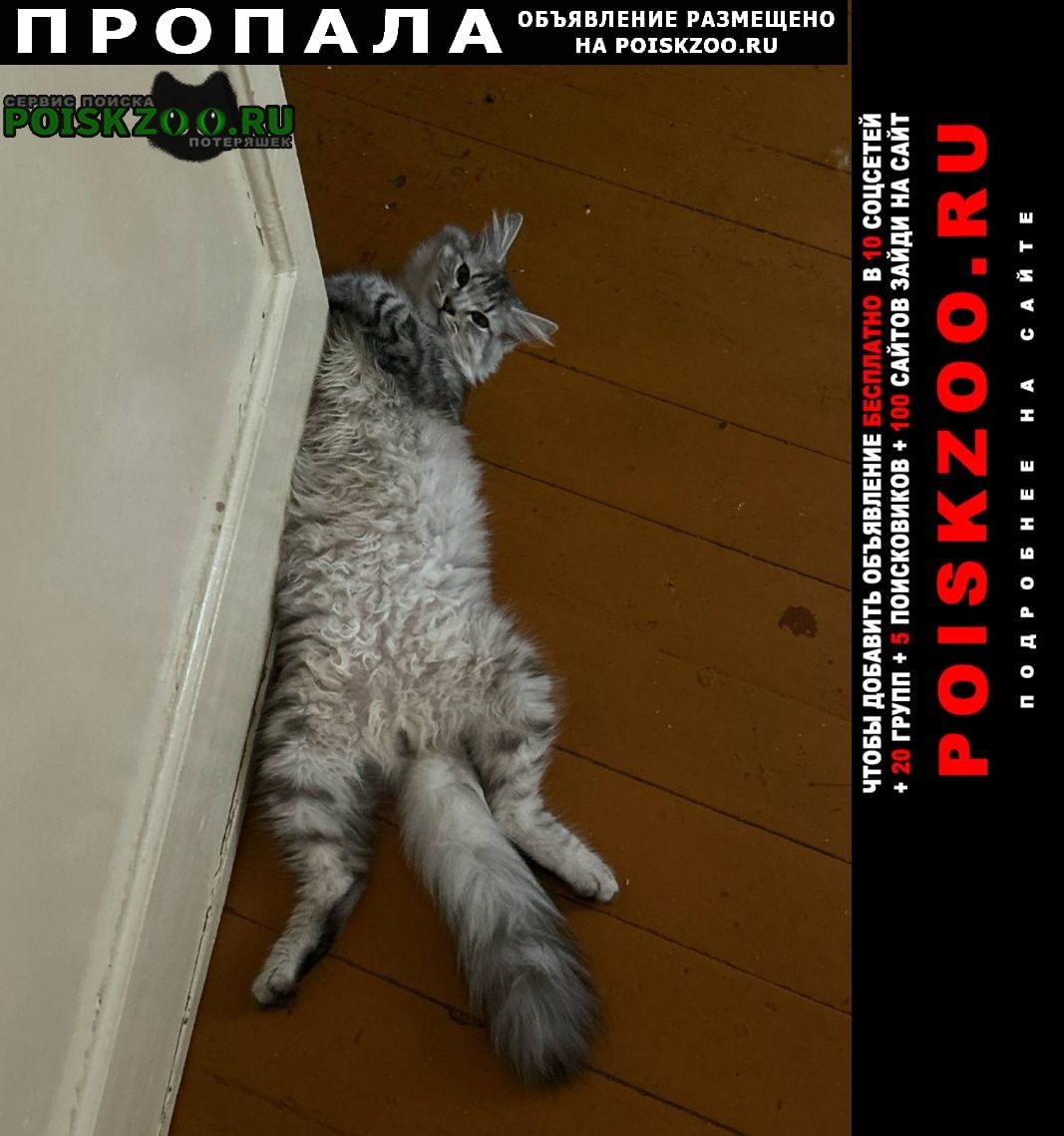 ���� ������ ���