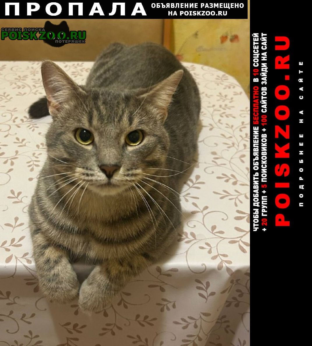 ���� ������ ���