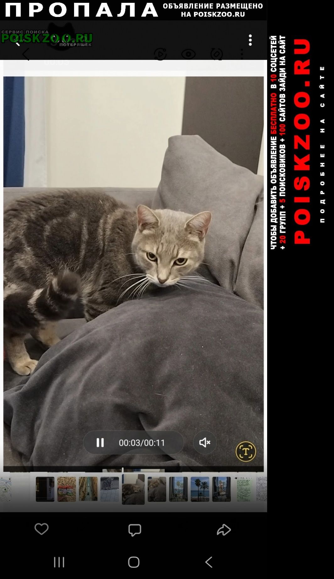 ���� ������ ��� �� ��������