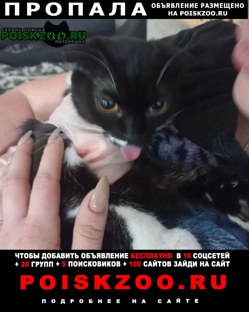 ���� ������� �����