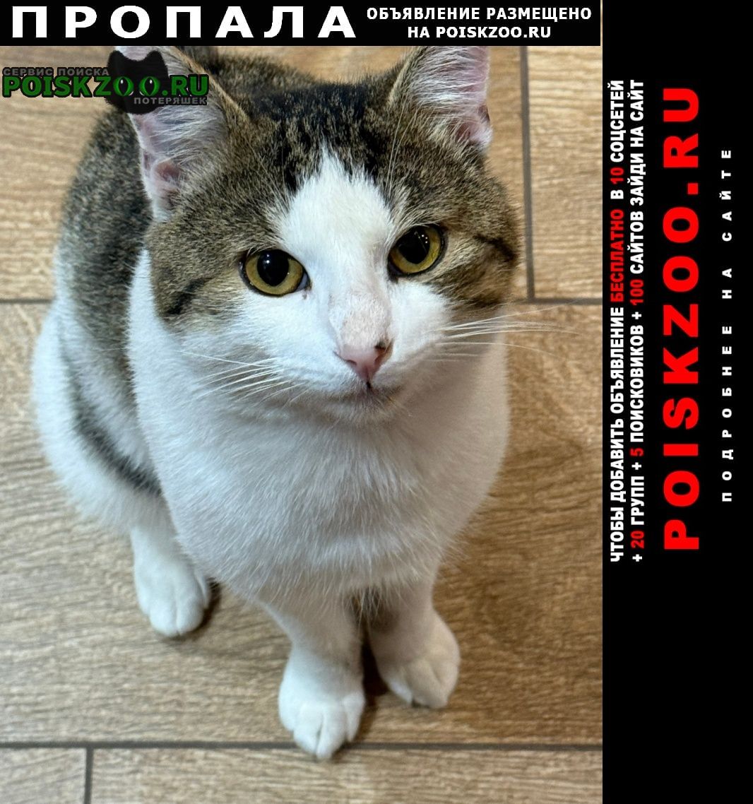 ���� ������ ���