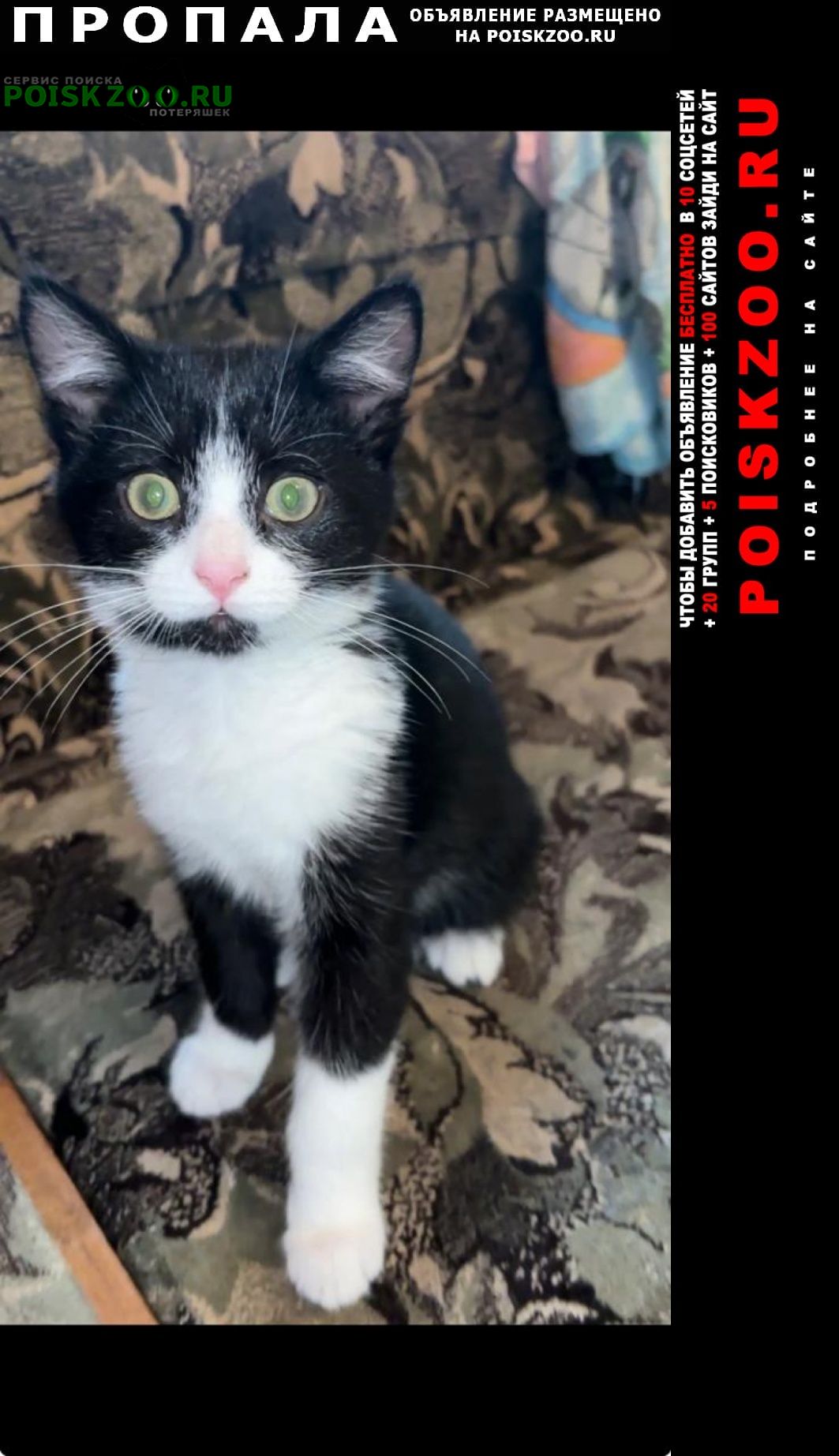 ���� ������ ��� ��