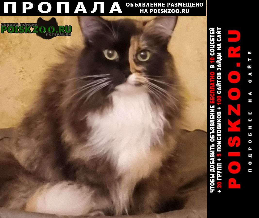 ���� ������� ����� �������� ����������