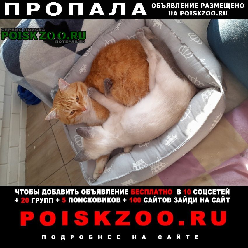 ���� ������ ��� ����� ��� ����.