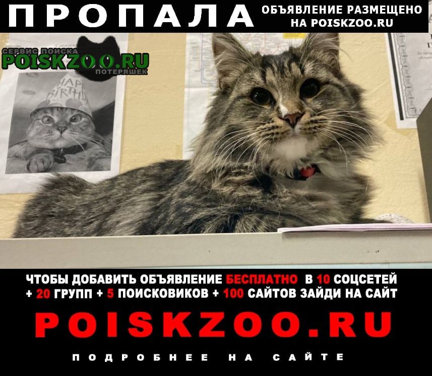 ���� ������ ������ 6-7 �������