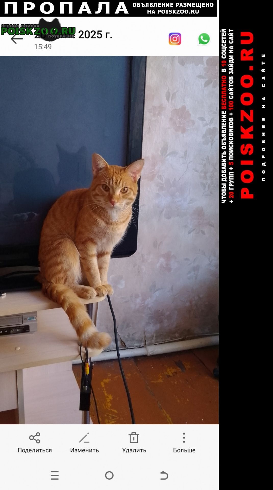 ���� ������ ���