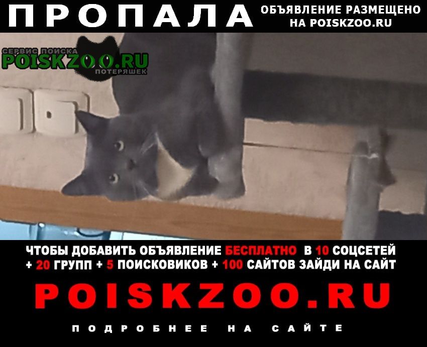 ���� ������ ���