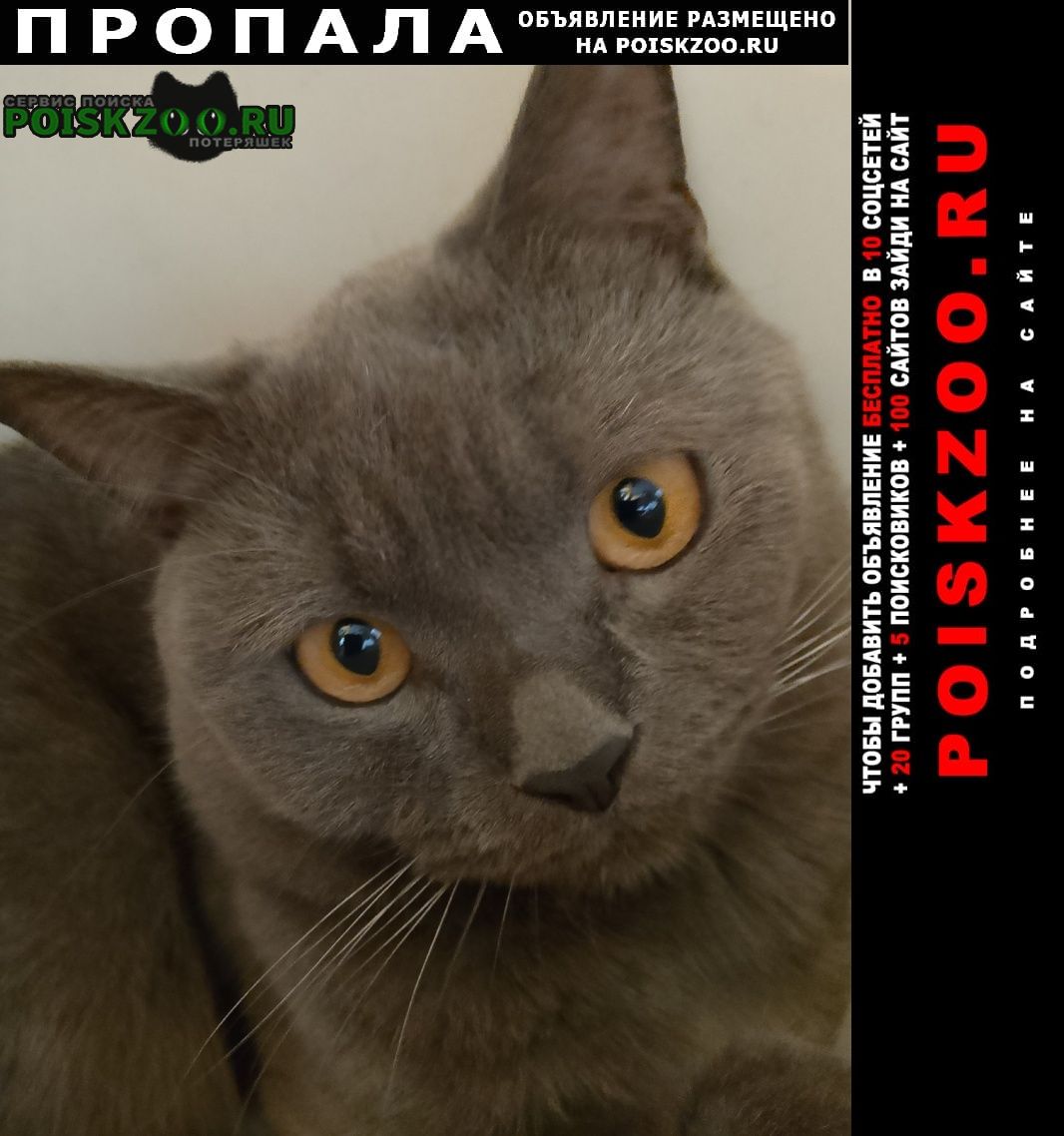 ���� ������ ��� ���������� ���