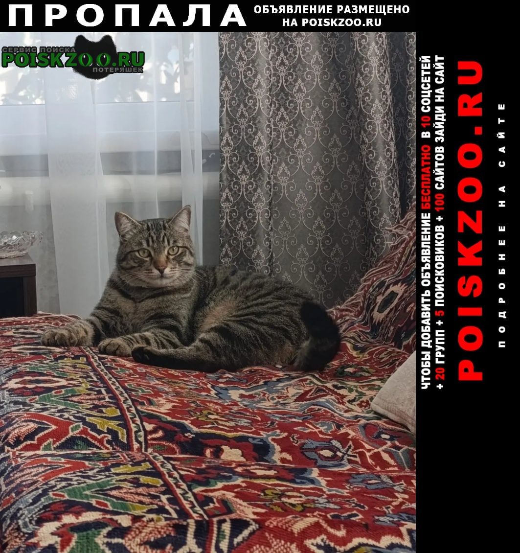 ���� ������ ���