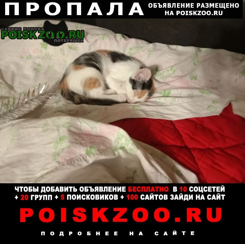 ���� ������� ����� ���� ����� � ������� 2025 ���� ������� �