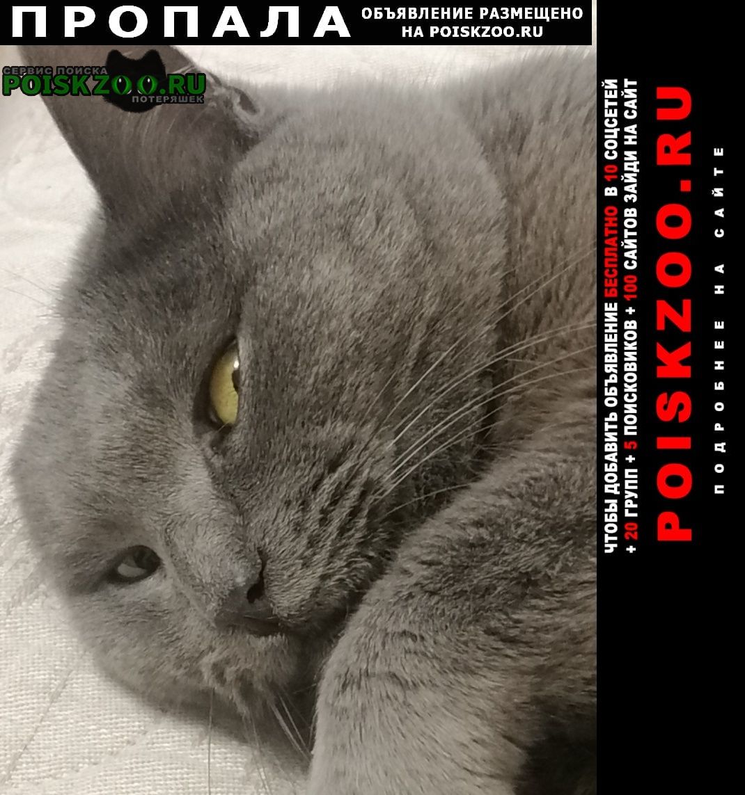 ���� ������ ���