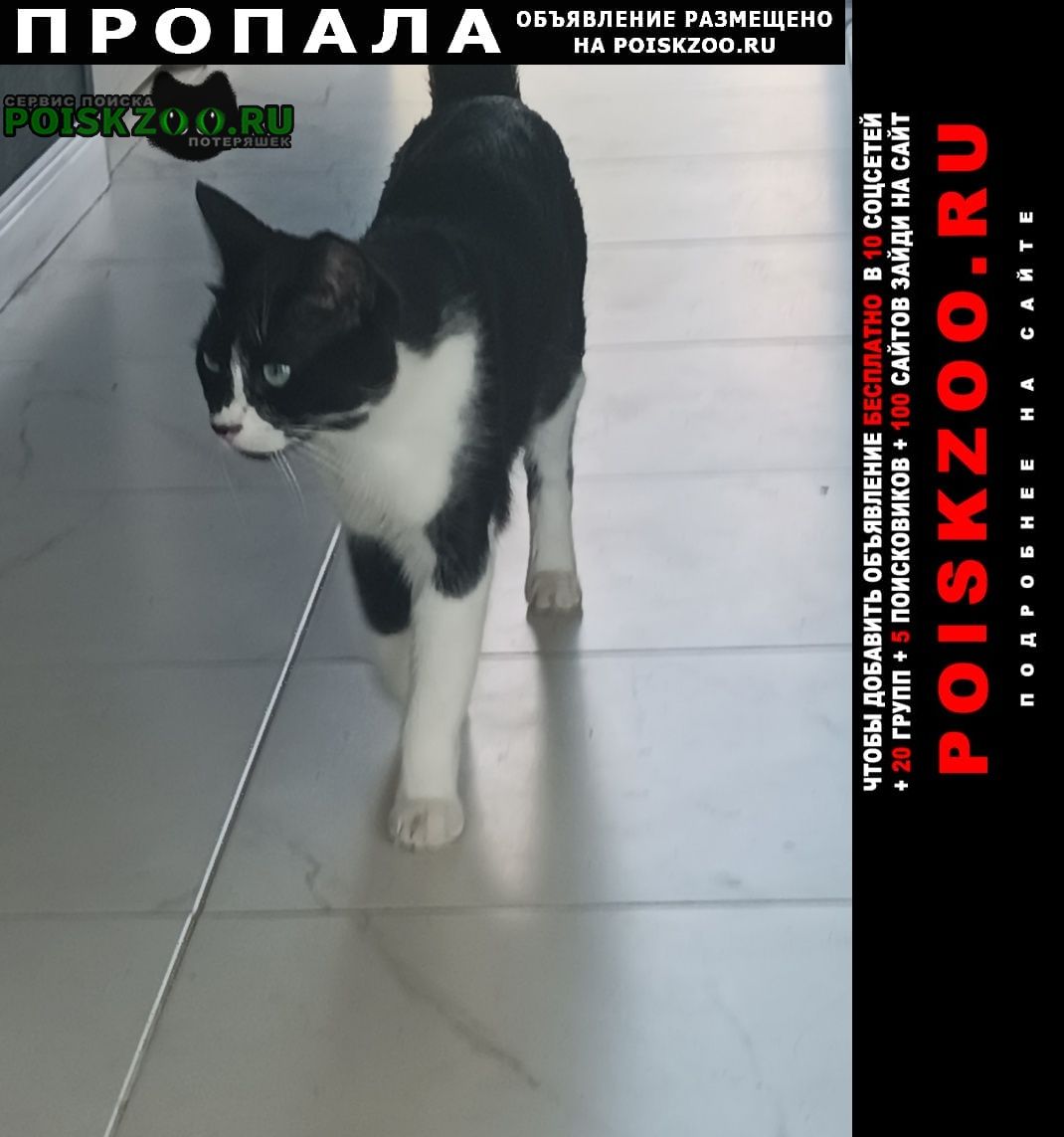 ���� ������ ���