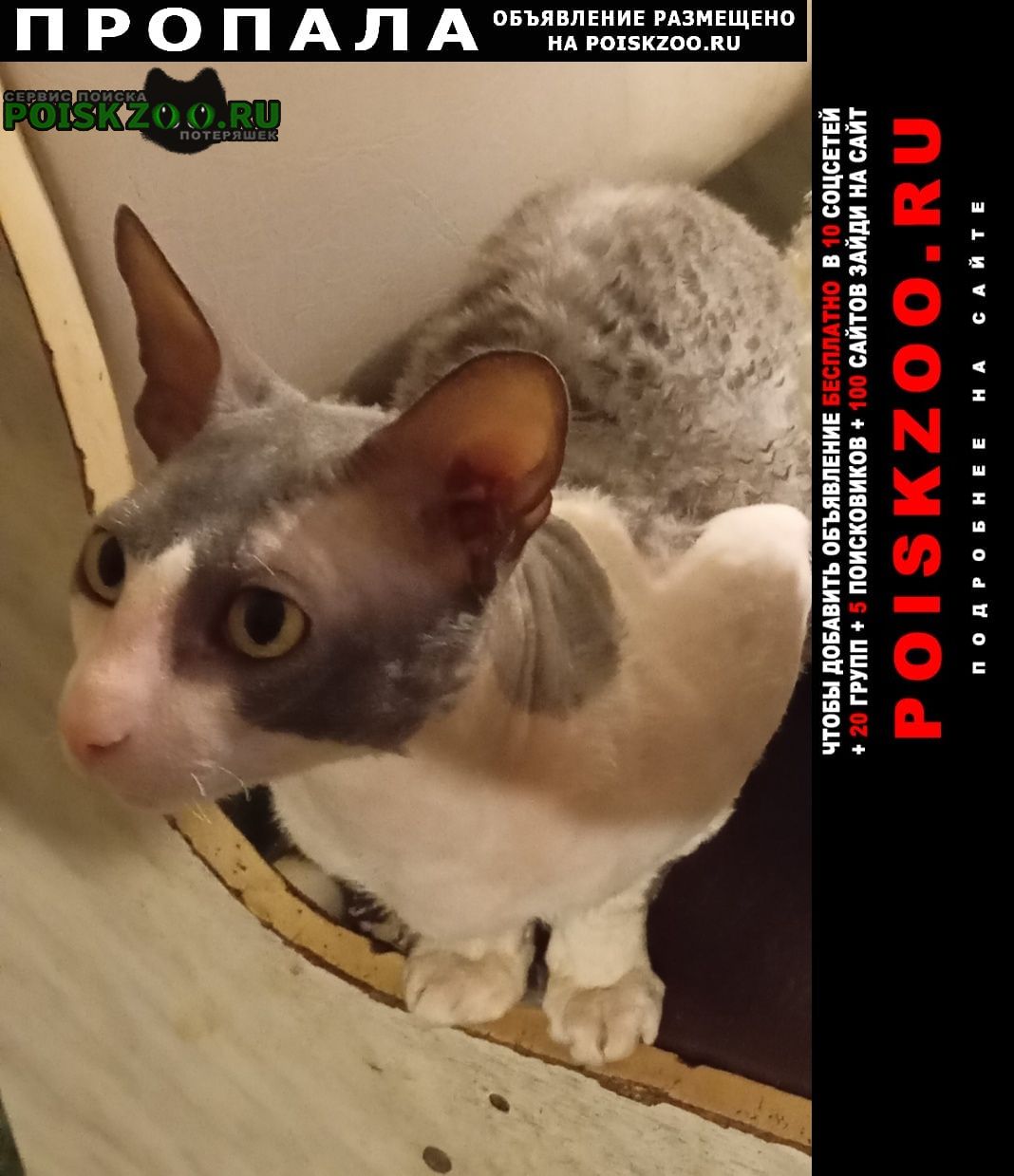 ���� ������ ���