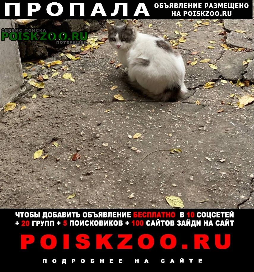 ���� ������ ��� ���� �����