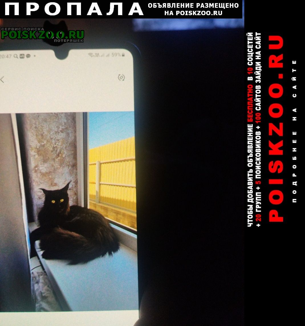 ���� ������ ��� ����� �������� ������ ���