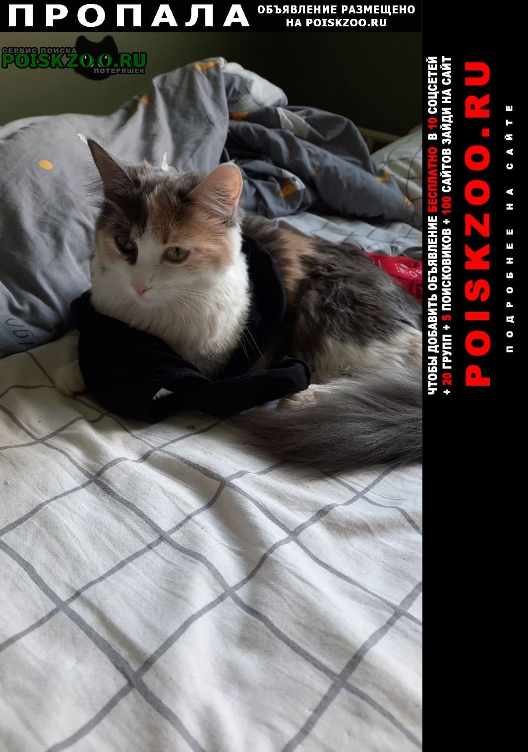 ���� ������� �����. ������, ������� 8