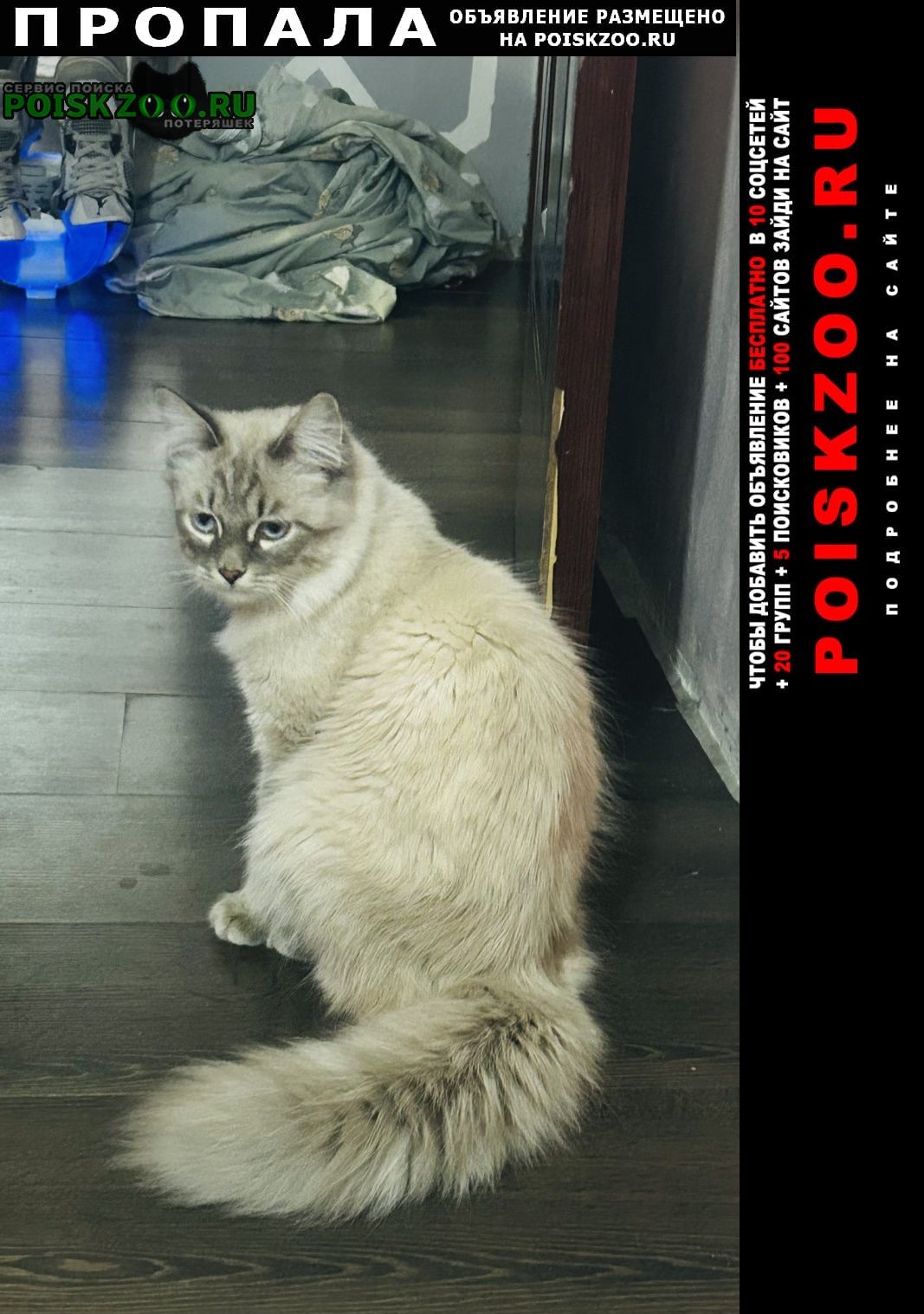 ���� ������ ��� � ���� ������ ����� �� �� ���� �����, �