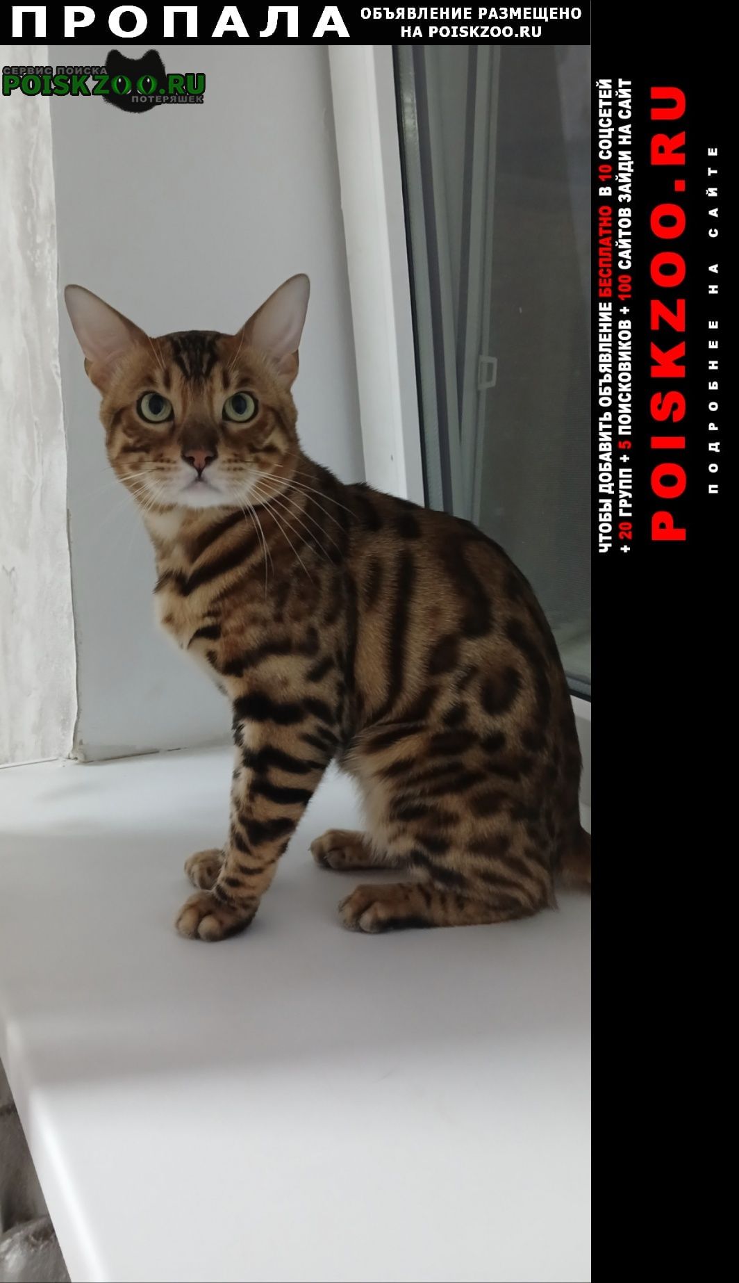 ���� ������ ���. �������� �����.