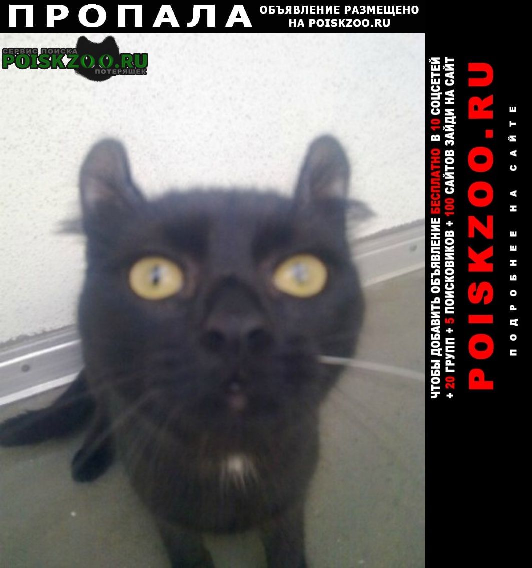 ���� ������� ����� ����� 20������� 2021����