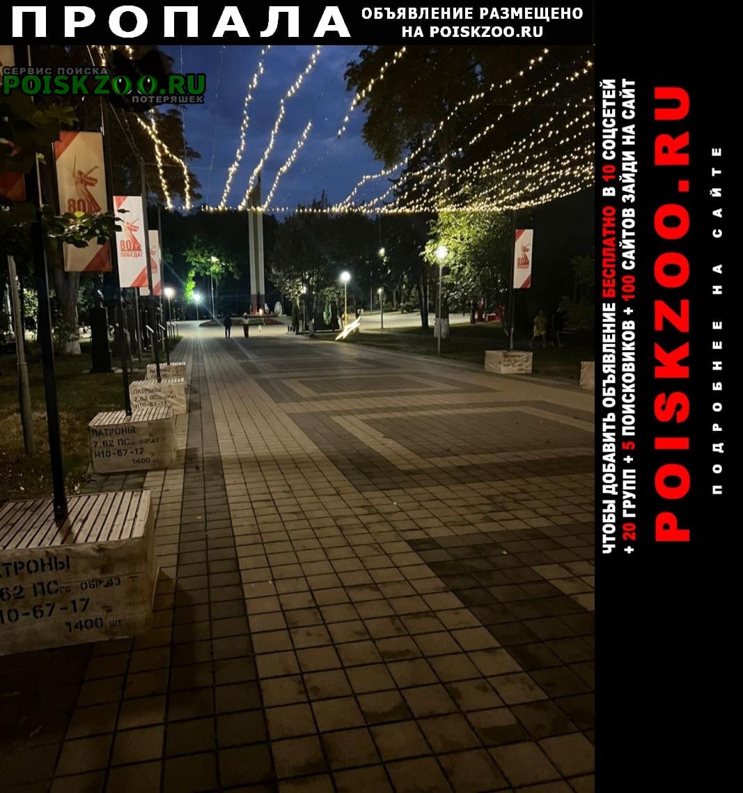 ���� ������ ��� ��� ������_ �����. ��������