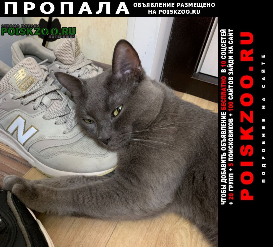 ���� ������ ���