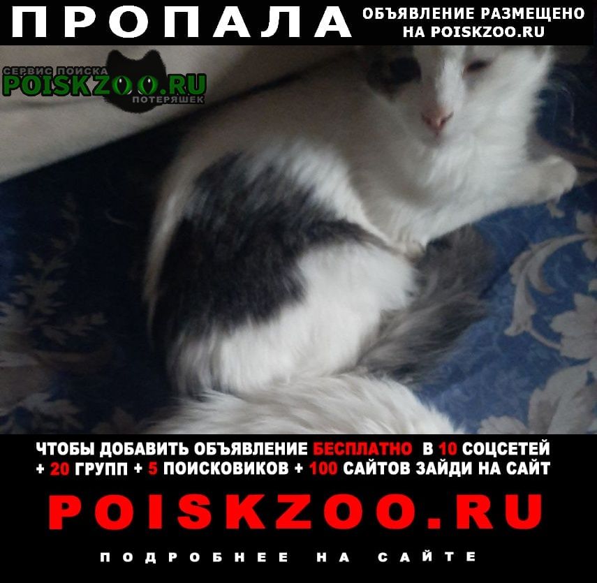 ���� ������� ����� ����-����� �����