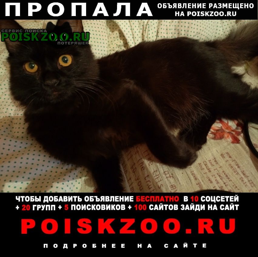 ���� ������ ���