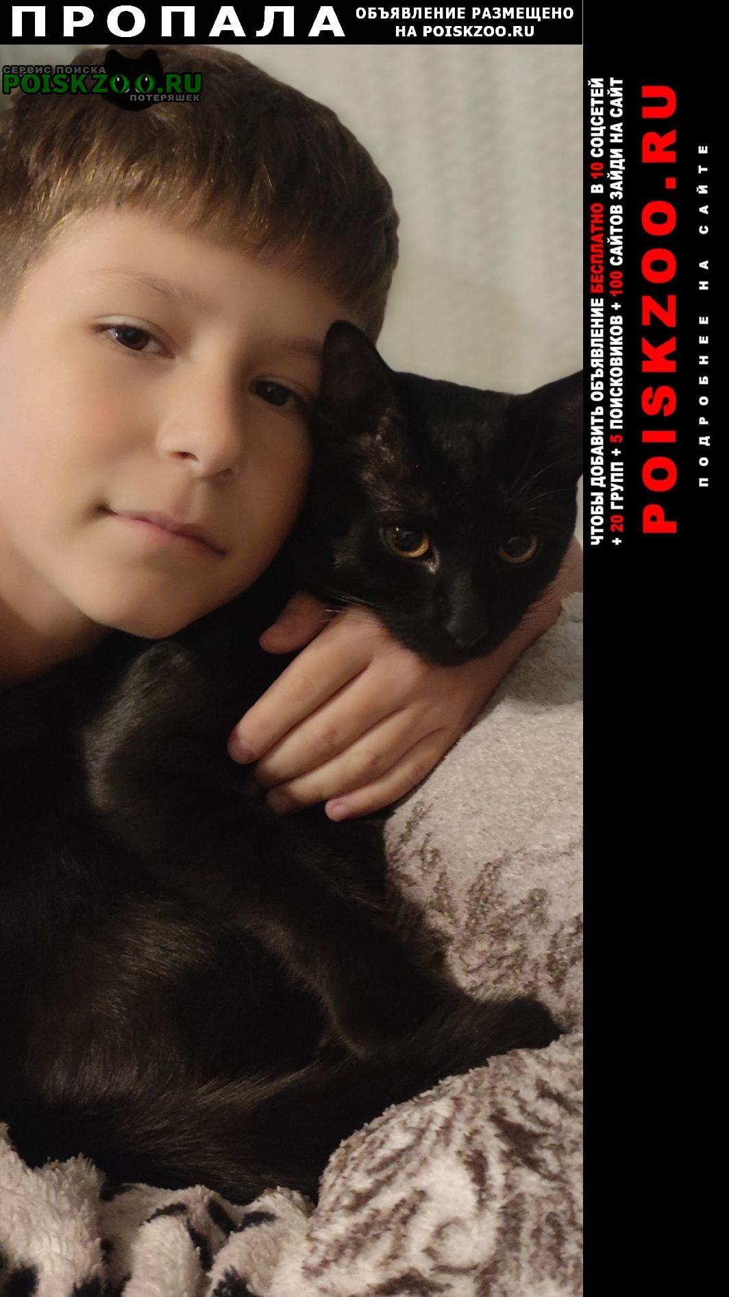 ���� ������ ���, �� �����������