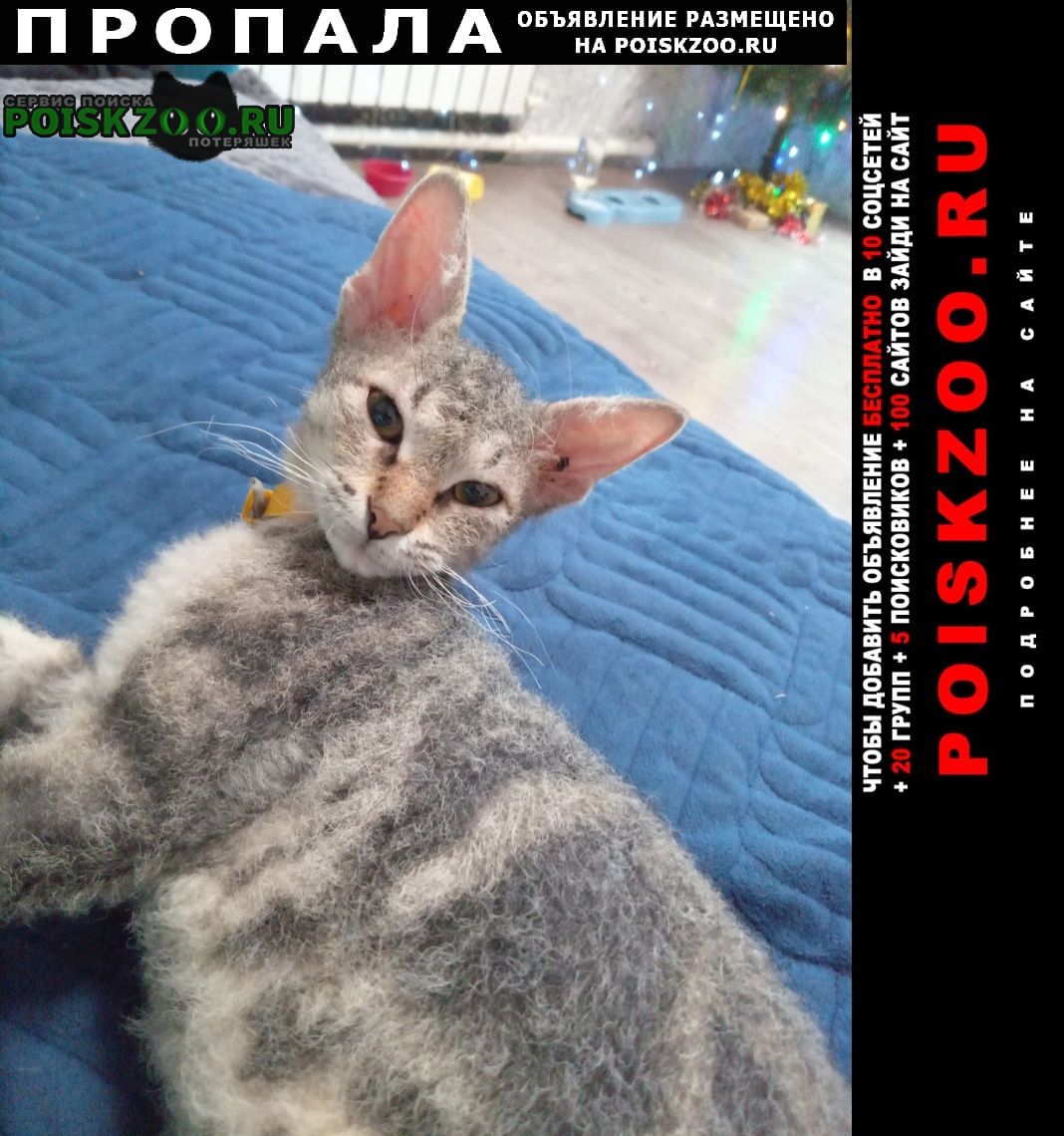 ���� ������� ����� ������� ����� ���� � ��� ������ �������