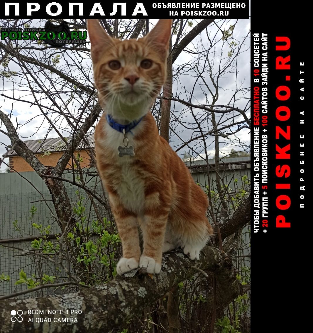 ���� ������ ���