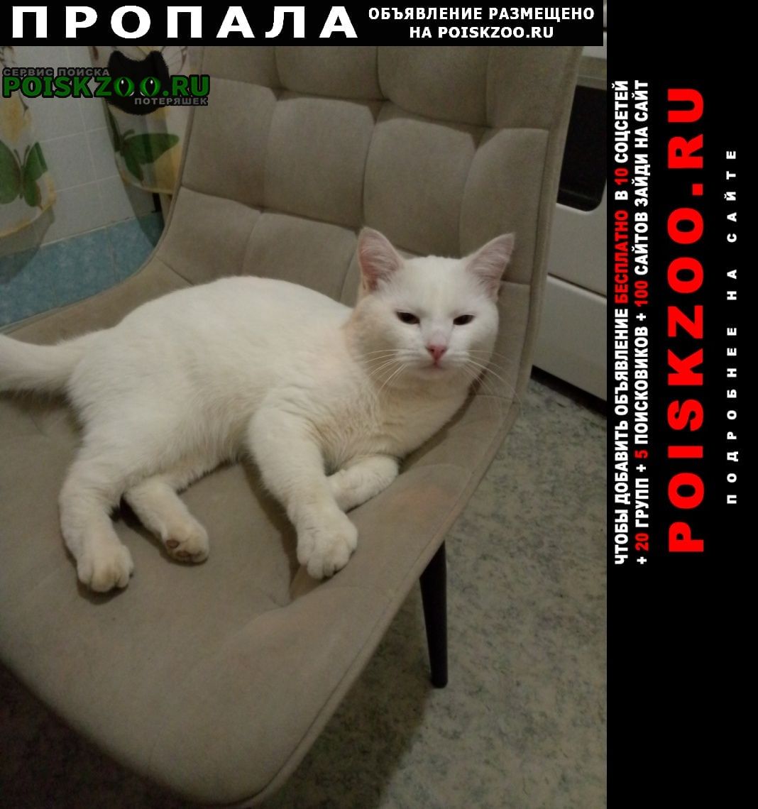 ���� ������ ���