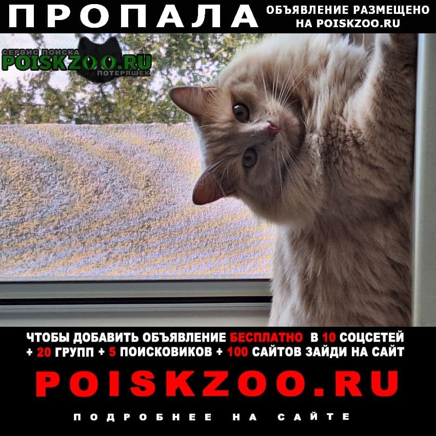 ���� ������ ��� +-3 ����� ����� �����