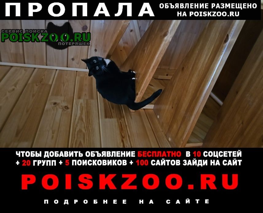 ���� ������ ���