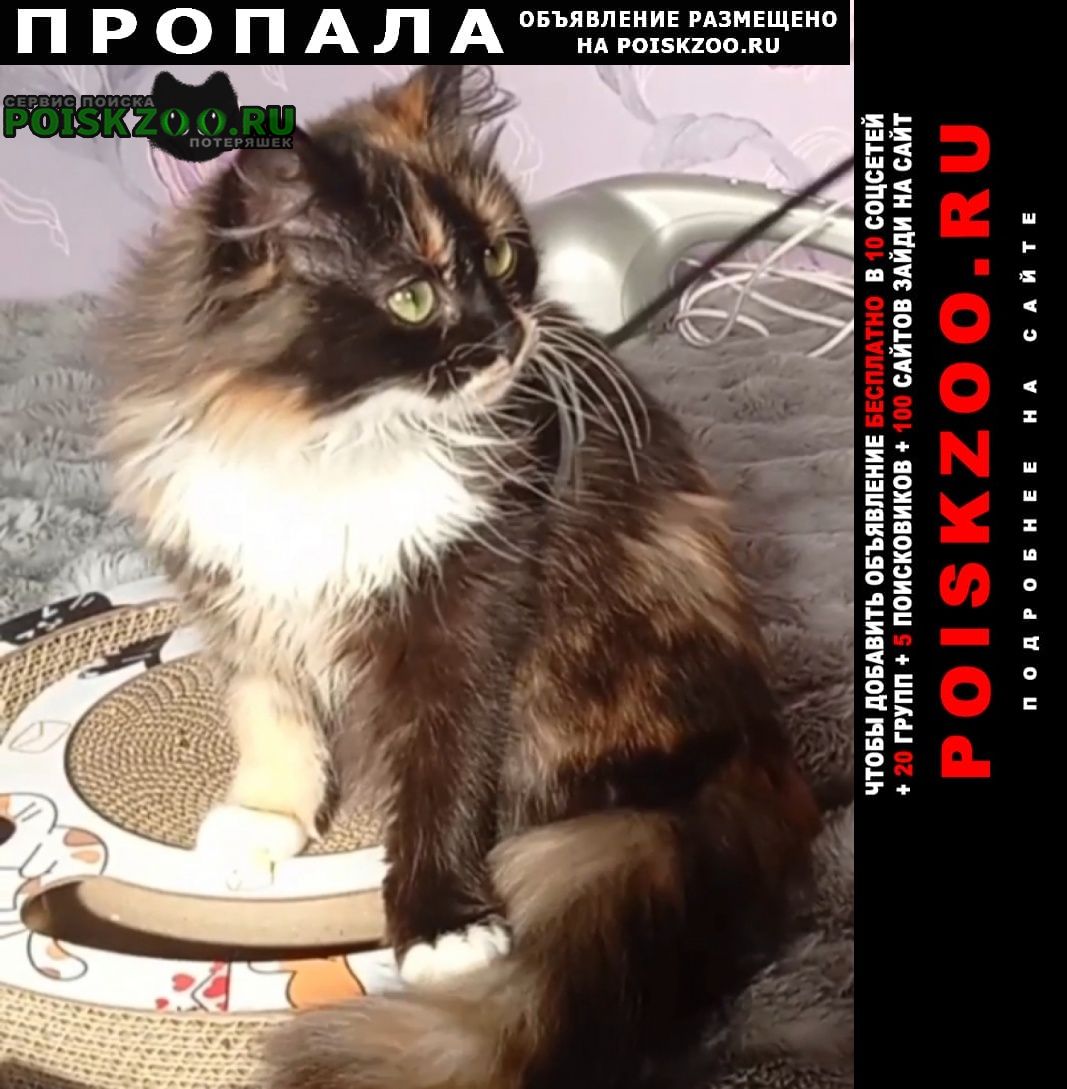 ���� ������� ����� 6 �������