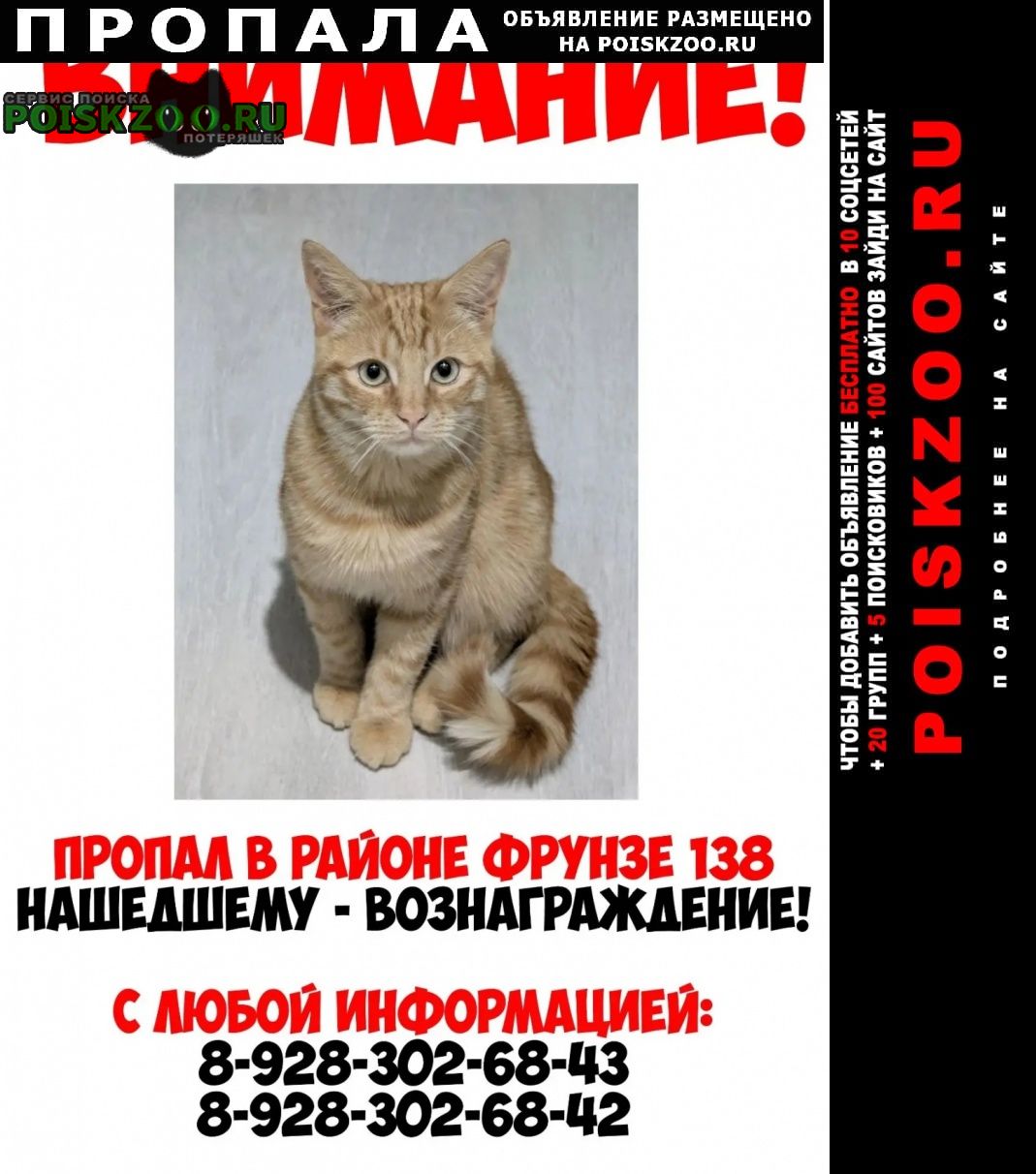 ���� ������ ��� ������