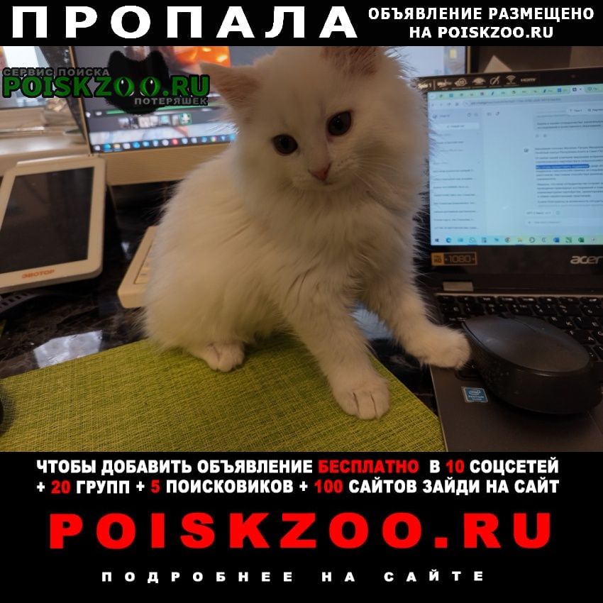 ���� ������ ��� ����� ����� 3 ������ ������