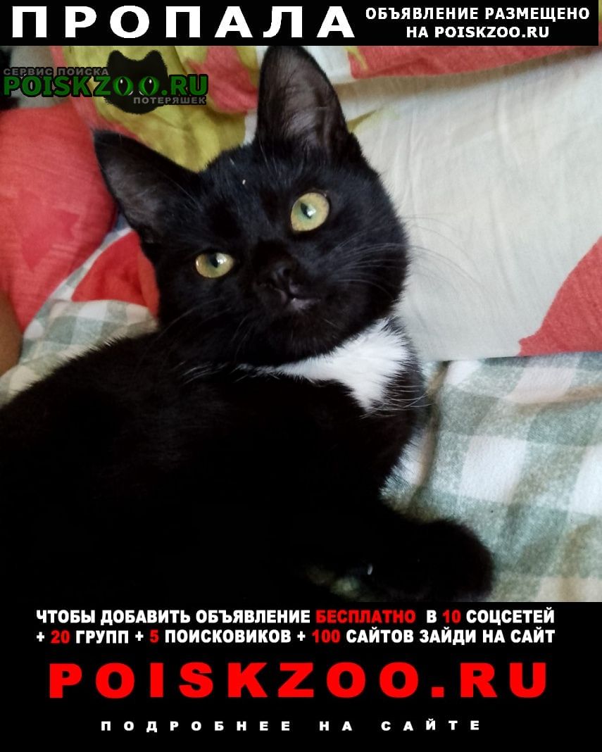 ���� ������� �����