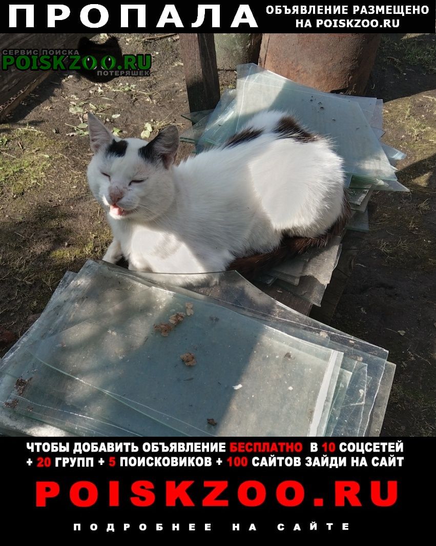 ���� ������ ���