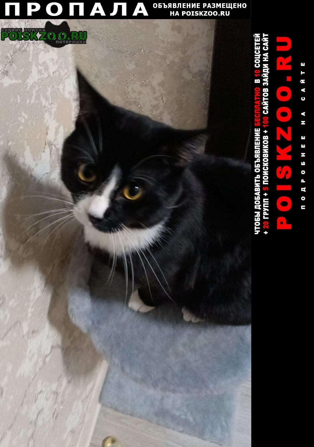 ���� ������ ���