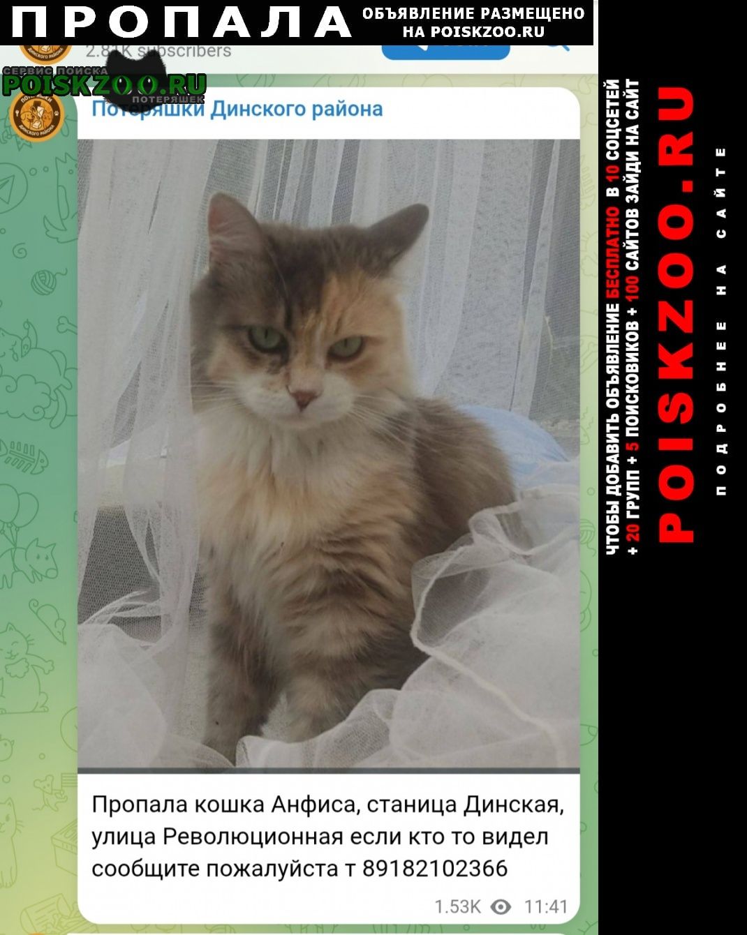 ���� ������� ����� ������