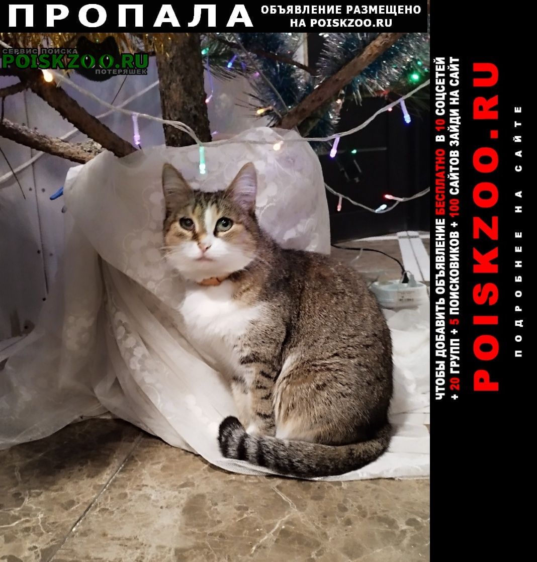 ���� ������� ����� � 7 ����������� ������ ���