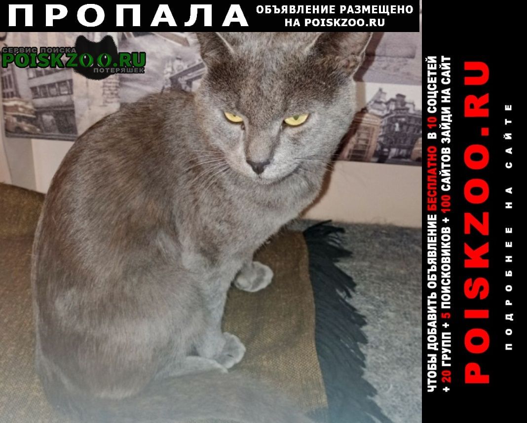 ���� ������ ���