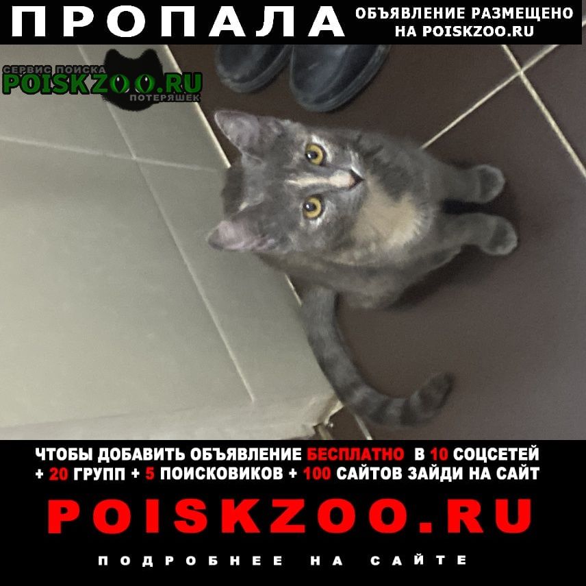 ���� ������� �����