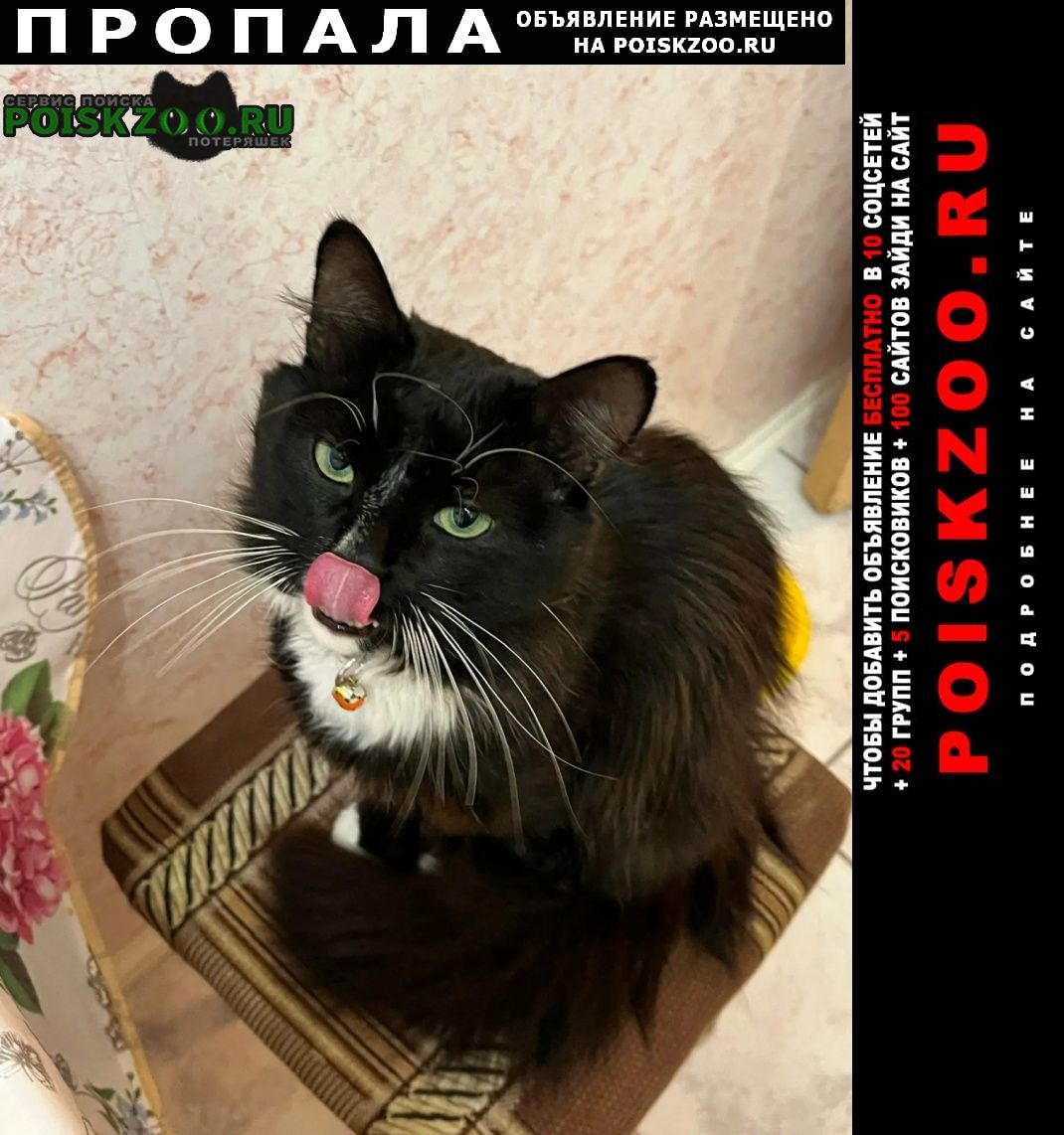 ���� ������ ���