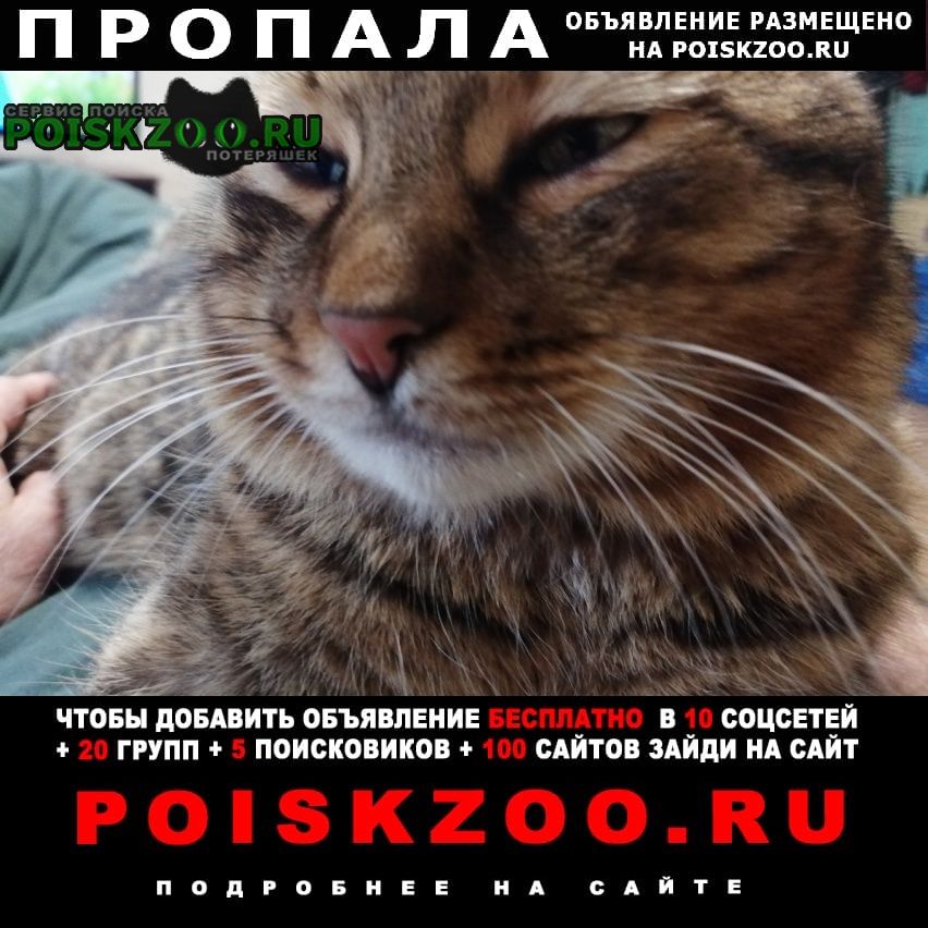 ���� ������ ��� �